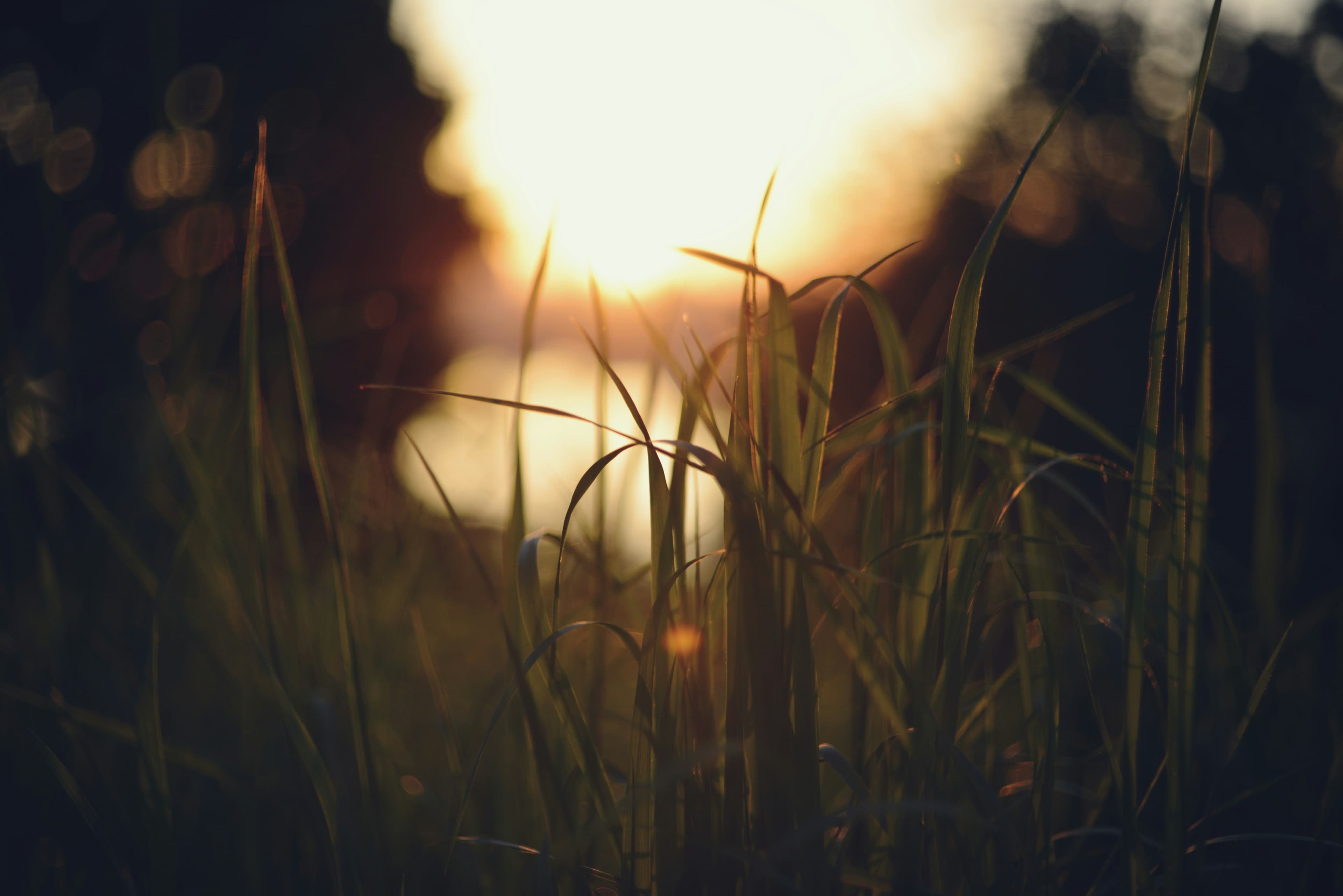 The dest Deals on Equipmen 439